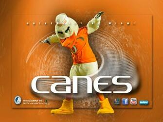 Ibis Hurricane To This Wallpaper Click Here