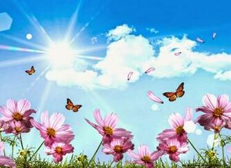 Summer Desktop 3d Wallpaper Background