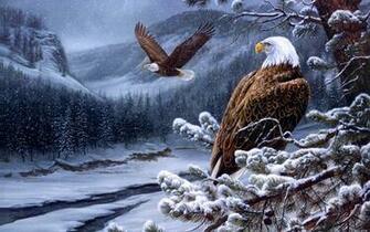 Pics Photos Bald Eagle Desktop Wallpaper And Background