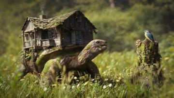 Fantasy Turtle 4k Ultra HD Wallpaper