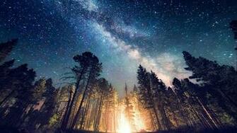 Forest Camp Wallpaper Computer Desktop