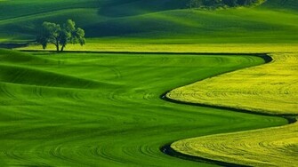 Full HD Nature Wallpaper