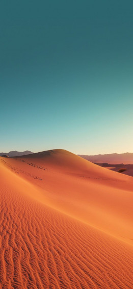 Some Desert Wallpaper