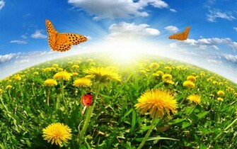 Beautiful Day High Quality And Resolution Wallpaper On