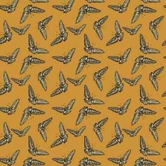 The Future Perfect Devine Moth Wallpaper Timorous Beasties