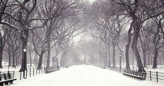 Winter Snow Screensaver Screensavergift