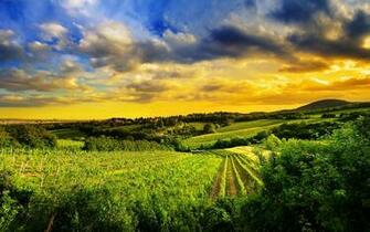 Home Locality Landscape Kahlenberg Hills North West Of Vienna