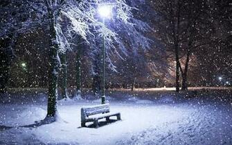 Night Winter Wallpaper On
