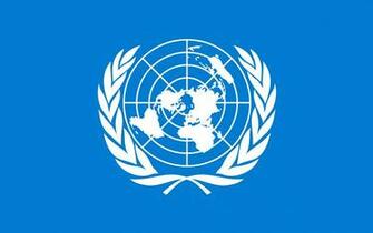 Picture United Nations Flag
