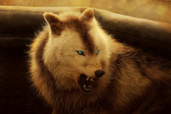 Angry Wolf 4k HD Artist Wallpaper Image Photos