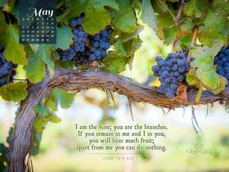 May John Niv Desktop Calendar Monthly Calendars