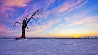 Winter Sunset HD Wallpaper For iPhone