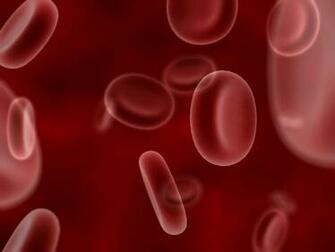 Biology Background Blood