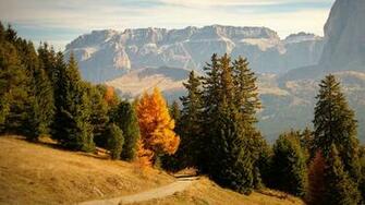Image Italy Bolzano Trail Nature Spruce Autumn Mountains