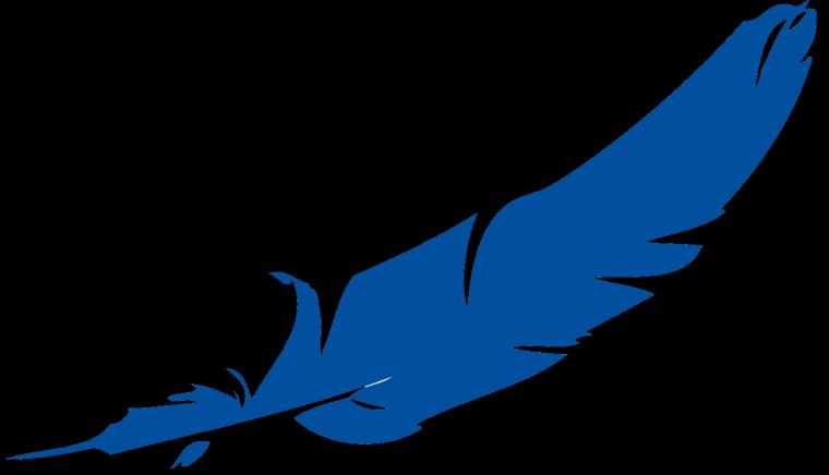 Blue Feather Widescreen Background Wallpaper Writing Lair Clip