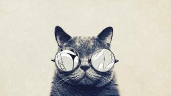 Cool Cat With Glasses Watching Anime Desktop Wallpaper