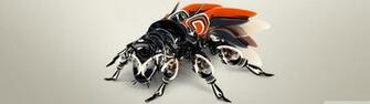 Biomechanics African Bee 4k HD Desktop Wallpaper For Dual