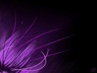 Wallpaper Drive Software