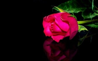 Roses Flower Background Template For Invitations Greeting Cards