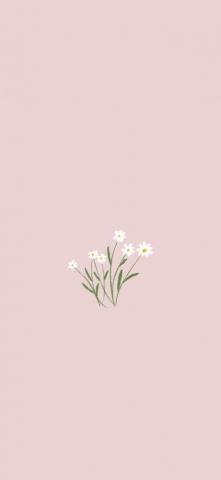 Flowers iPhone Wallpaper Plants Minimalist Phone