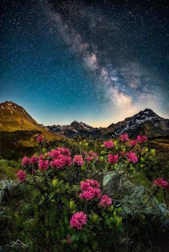 Stars And Flowers Austrian Alps By Nicholas Roemmelt On 500px Ff