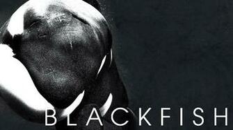 A Ing Of Blackfish At Suny Oneonta The State Times