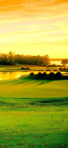 iPhone X Golf Course Background Wallpaper