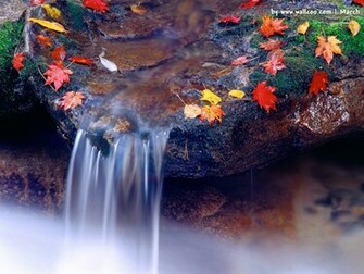 Early Spring Scene Wallpaper No Desktop