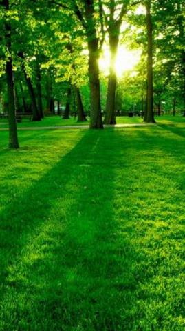 HD Beautiful Wallpaper Discover More Appearance Beauty