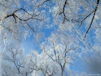 Winter Wonderland Desktop Wallpaper Photosgallery Xyz