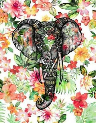 Elephant Background