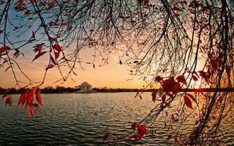 Washington D C Wallpaper For iPhone Px Mb City