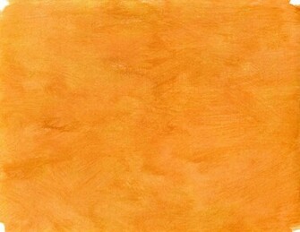 Neon Orange Color Background Bright Or