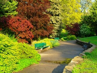 Spring Wallpaper