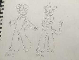Some Housepets Art Furry Amino