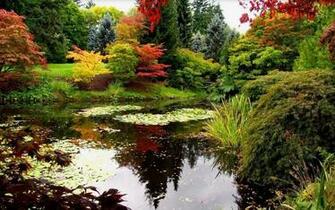 Scenic Lake