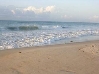 North Carolina Beaches Best In Uptake