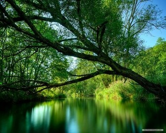 Nature Wallpaper HD Landscape