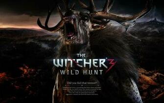 The Witcher Wild Hunt Computer Wallpaper Desktop Background