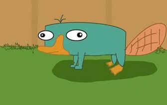 Perry The Platypus Wallpaper By Daedalusslayer