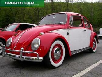 Volkswagen Beetle Bug Vw Bear Mountain
