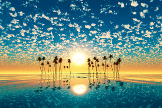 Palm Trees Reflection Sunset Wallpaper HD Nature 4k
