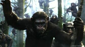 Dawn Of The Planet Apes HD Wallpaper IHD