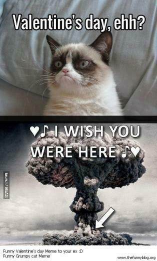 Valentine S Day Through These Eyes Of Our Favorite Grumpy Cat