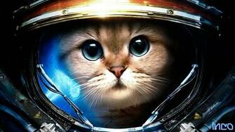 HD Picture Wallpaper And Pictures