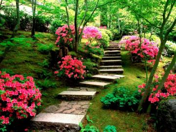 Natural Flower Garden Wallpaper