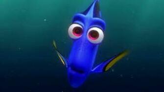 Dory Wallpaper