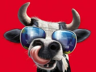 Funny Cow Wallpaper