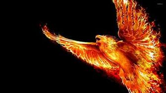 Phoenix Wallpaper Artistic