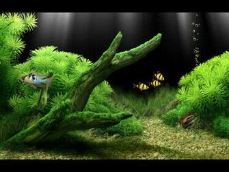 Full HD 3d Aquarium Wallpaper